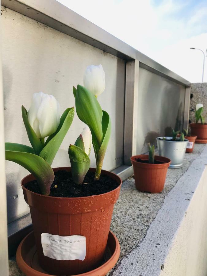 Boavista Villa Guesthouse Porto Bagian luar foto